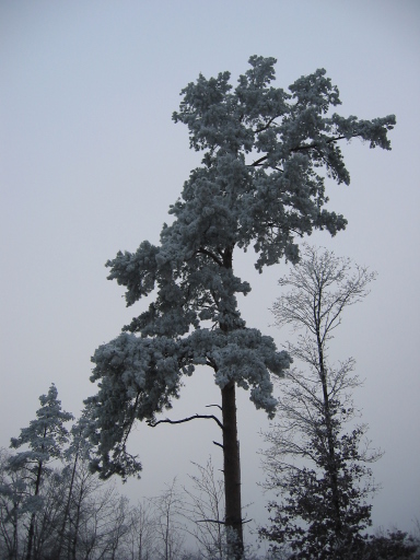 Used in Page personnelle de dharanamrs